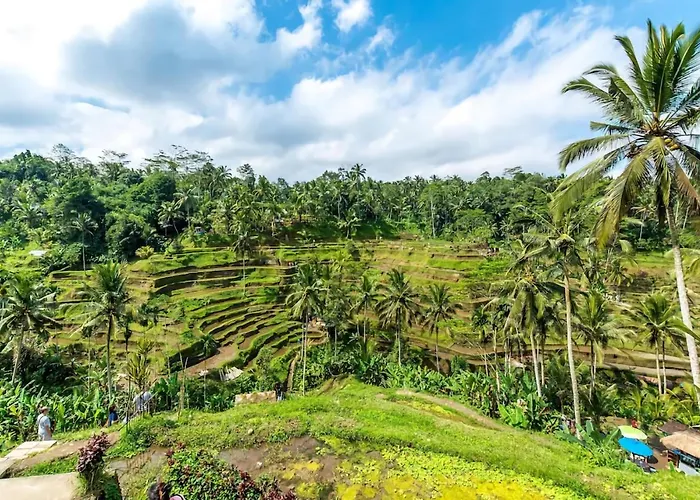 The Kanjeng Ubud (Bali)